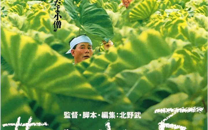 精英律师电视剧全集免费观看完整版
